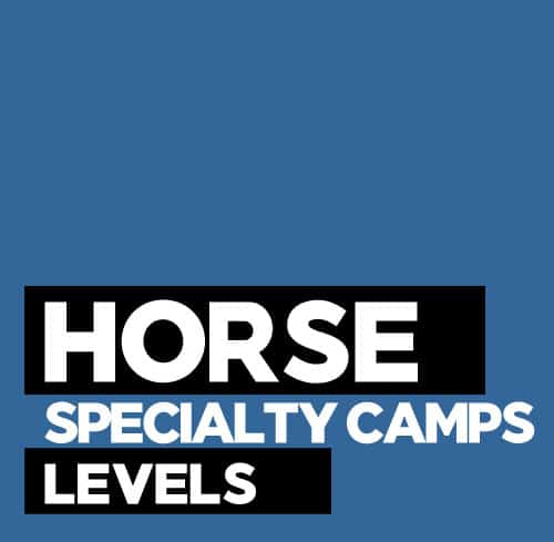 Horse Specialty Camps