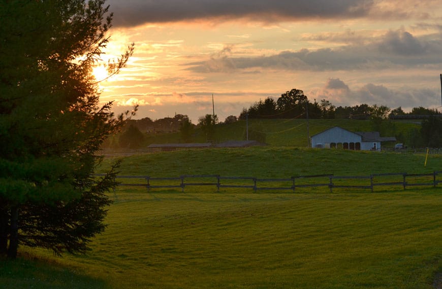 Circle Square Ranch